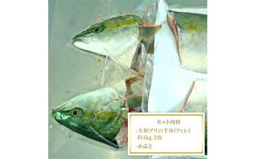 縲仙、ァ蜥後ヶ繝ェ縲大濠霄ォ(セ鯉スィセ)邏1kgテ2譫壹°縺カ縺ィ莉倥″ N072-YD0190