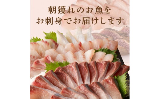 【6ヶ月定期便】大和海商 大和のこだわり漁師のお刺身4人前【冷凍】 N072-YE131-2