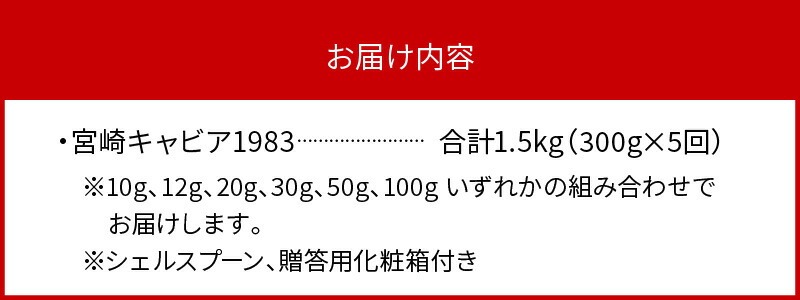 ã5ãæå®æäŸ¿ãå®®åŽãã£ãã¢1983 300g N027-YQ005