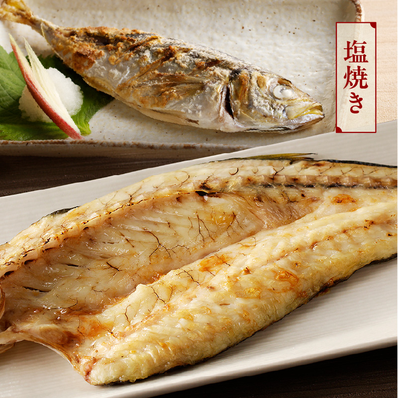 【12ヶ月定期便】大和海商の朝どれ鮮魚直送便　 2.5? N072-YG0257