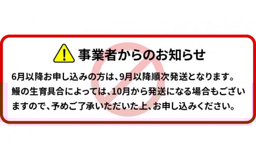 北川鰻の白焼き（4尾） N010-YB718