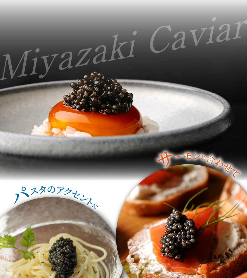 【3か月定期便】宮崎キャビア1983 500g N027-YQ004