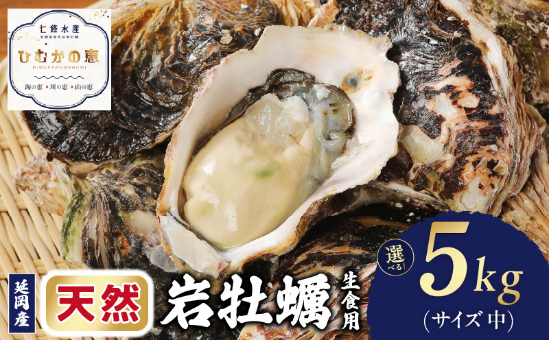 蟒カ蟯。逕」螟ゥ辟カ蟯ゥ迚。陟」シ育函鬟溽畑シ5kgシ井クュシ会シ2026蟷エ4譛15譌・縺九i逋コ騾髢句ァ具シ丑036-YB306