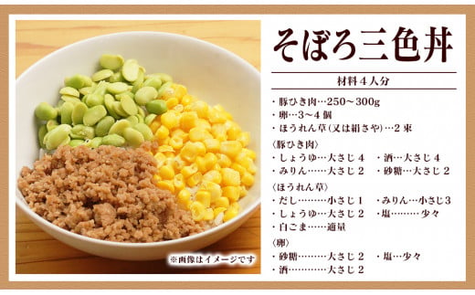 延岡ãã£ãšã Cã»ãã N003-YB542