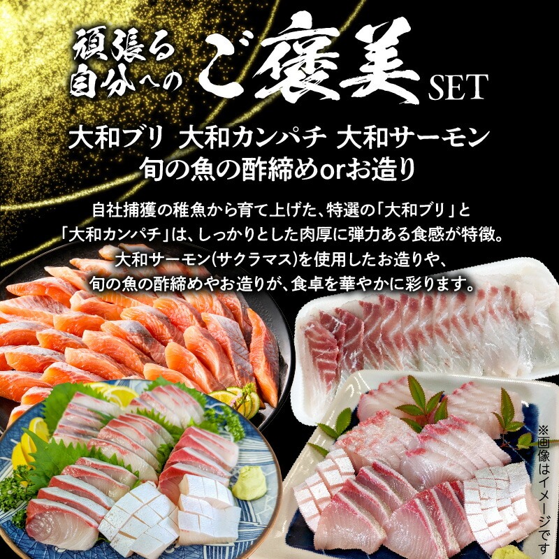 縲12繝カ譛亥ョ壽悄萓ソ縲鷹大シオ繧玖ェ蛻縺ク縺ョ縺碑、堤セ弱そ繝繝 N072-YH062