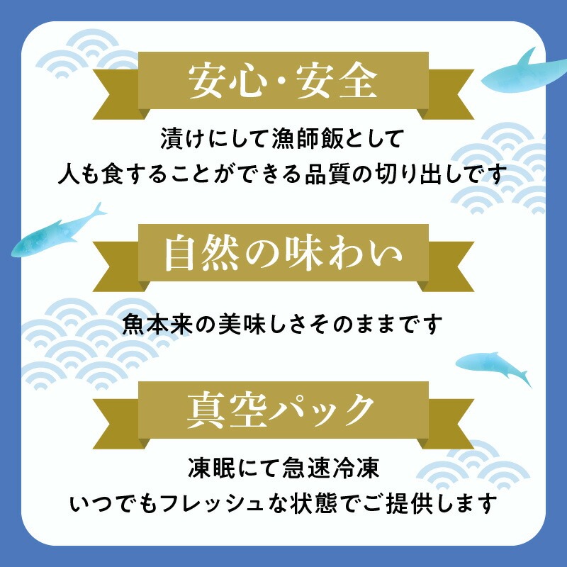 【至福の海の恵み】贅沢グルメキャットフード　N072-YA0398