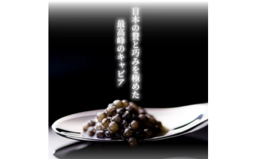 宮崎キャビア1983(300g) N027-YK007