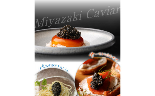 宮崎キャビア1983(300g) N027-YK007