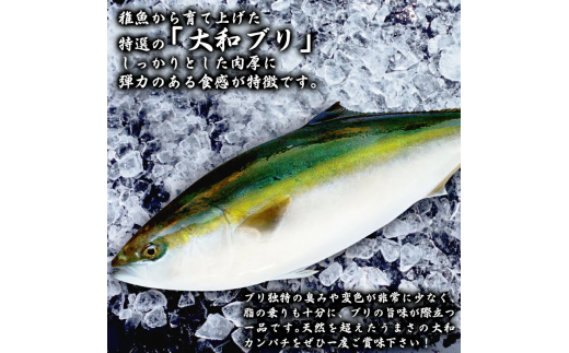 縲仙、ァ蜥後ヶ繝ェ縲大濠霄ォ(セ鯉スィセ)邏1kgテ2譫壹°縺カ縺ィ莉倥″ N072-YD0190