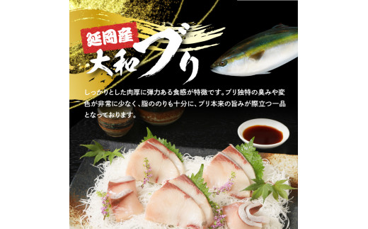 【大和海商】大和ﾌﾞﾘの切り身たっぷりｾｯﾄ約1.2kg N072-YA945