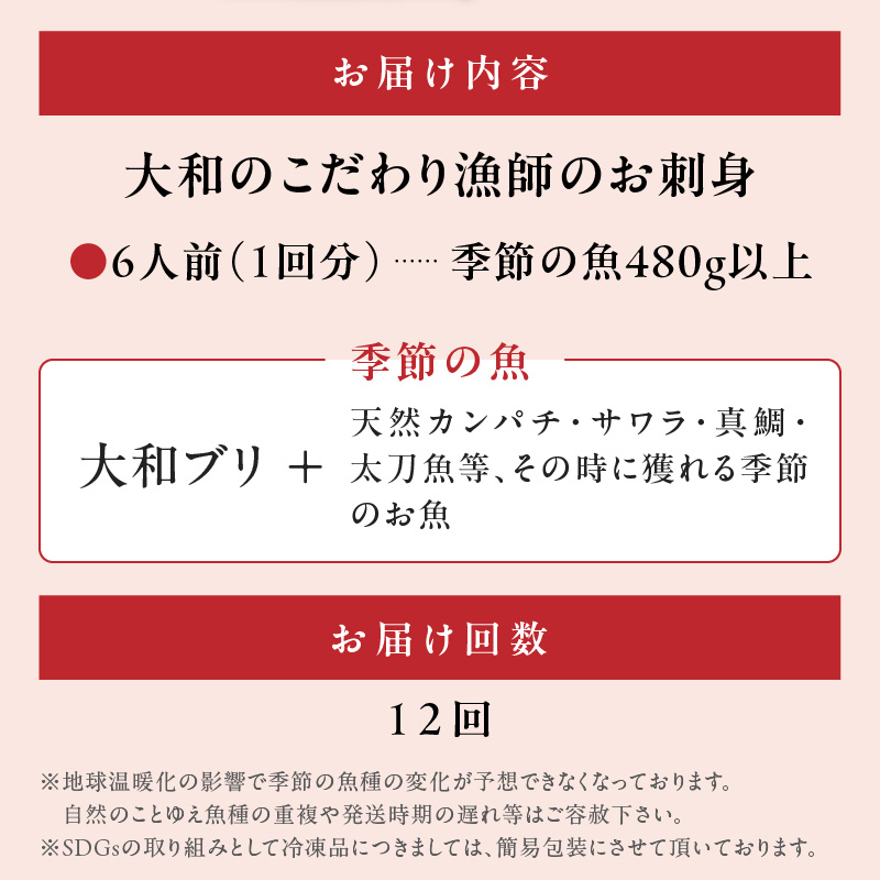 【12ヶ月定期便】大和海商 大和のこだわり漁師のお刺身6人前【冷凍】 N072-YG0258-2