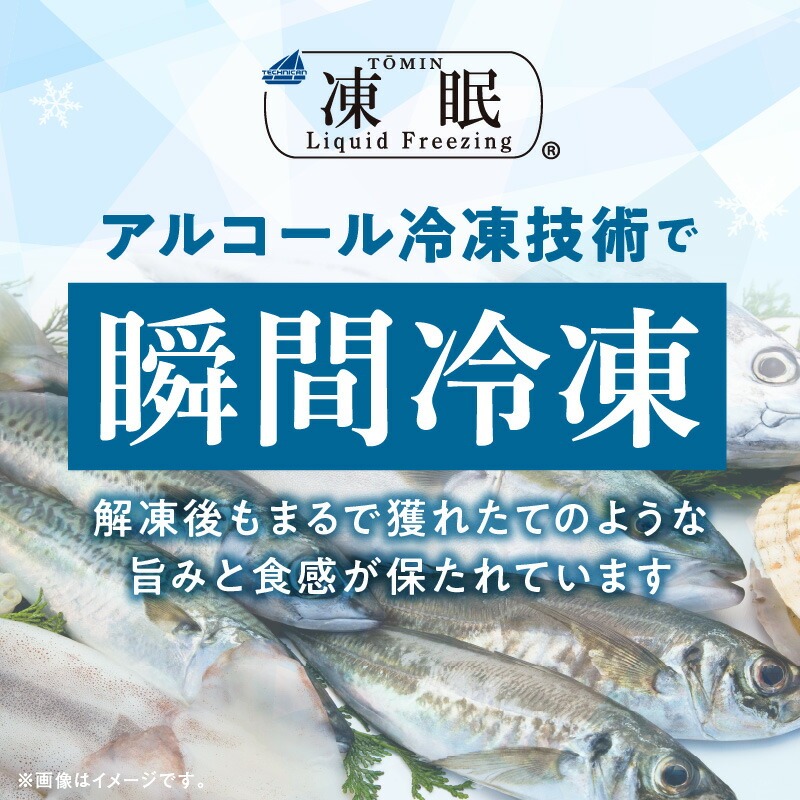 大和サーモン（サクラマス）のお造り 宮崎の美味を味わう8人前 N072-YB359