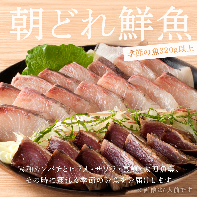 【6ヶ月定期便】大和の高級お刺身 4人前【冷蔵】 N072-YE133-1