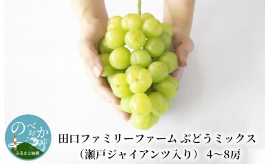 【田口ファミリーファーム】ぶどうミックス(瀬戸ジャイアンツ入り)4~8房(約3kg~4kg) N053-YZD0141
