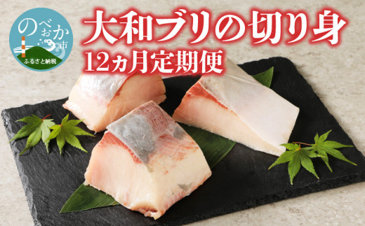 大和ブリの切り身　12ヶ月定期便 N072-YG0256
