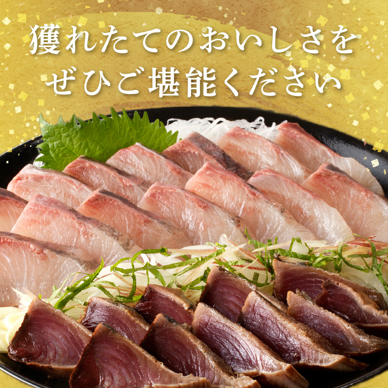 【単月お届け】大和の高級お刺身　6人前【冷凍】 N072-YA6611-2