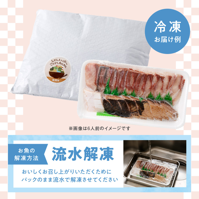 【12ヶ月定期便】大和海商 大和のこだわり漁師のお刺身4人前【冷凍】 N072-YG0254-2