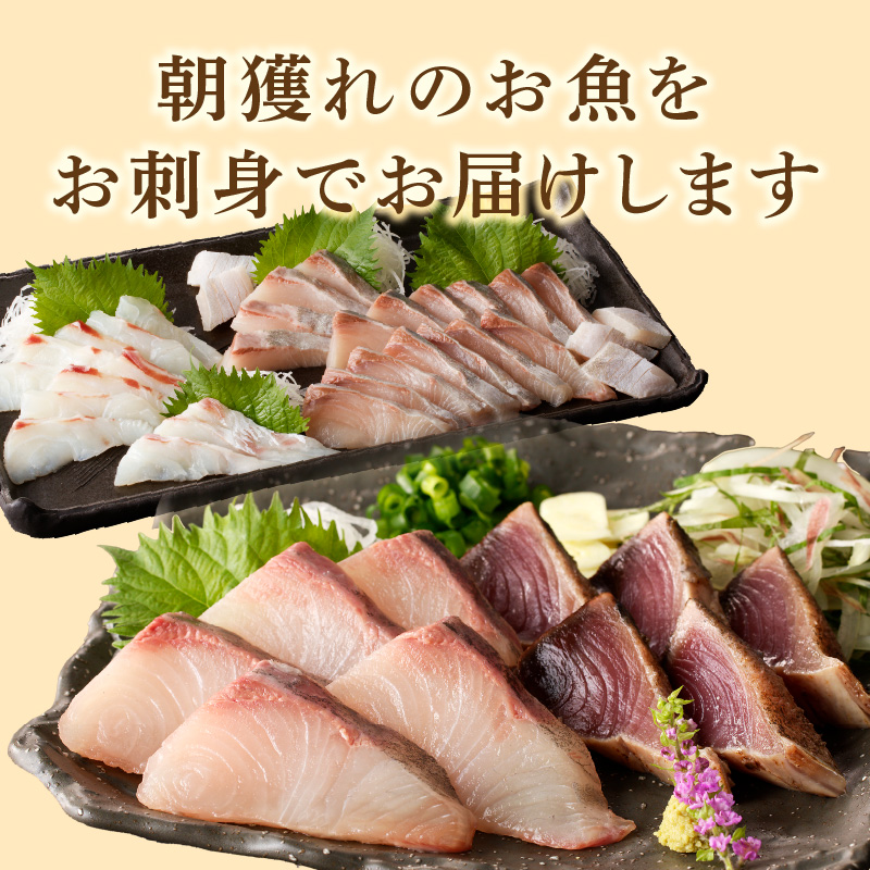 【単月お届け】大和の高級お刺身　6人前【冷凍】 N072-YA6611-2