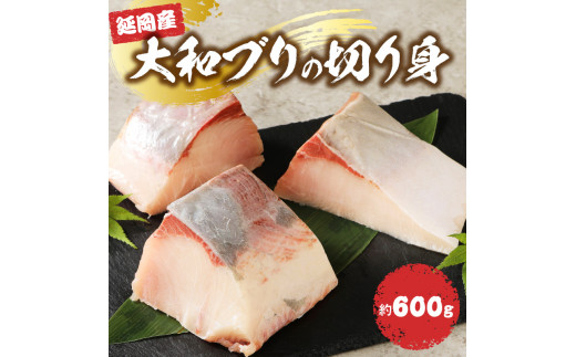 大和ブリの切り身　約600ｇ N072-YA2289