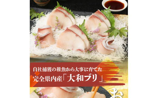 大和ブリの切り身　約600ｇ N072-YA2289