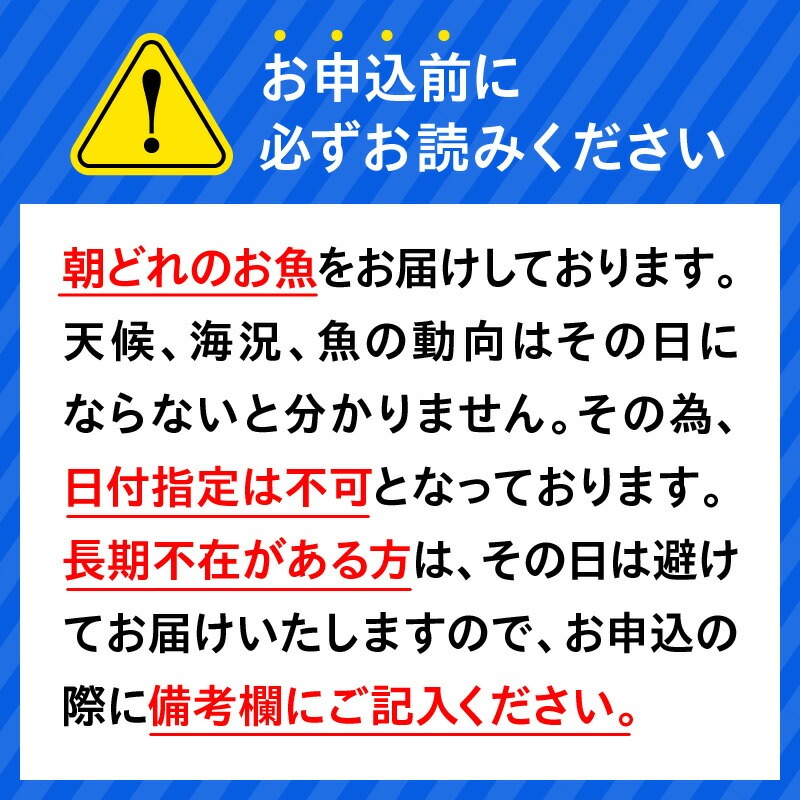 【12ヶ月定期便】大和海商 大和のこだわり漁師のお刺身6人前【冷蔵】 N072-YG0258-1