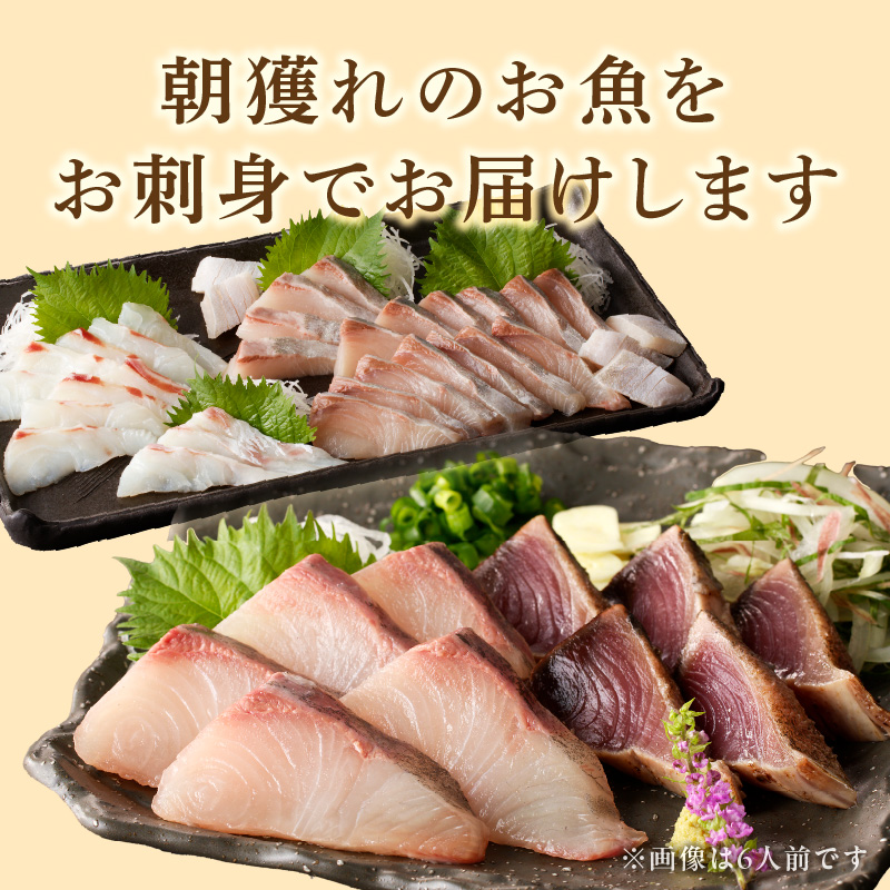 縲6繝カ譛亥ョ壽悄萓ソ縲大、ァ蜥後ョ鬮倡エ壹♀蛻コ霄ォ 4莠コ蜑阪仙キ蜃阪 N072-YE133-2