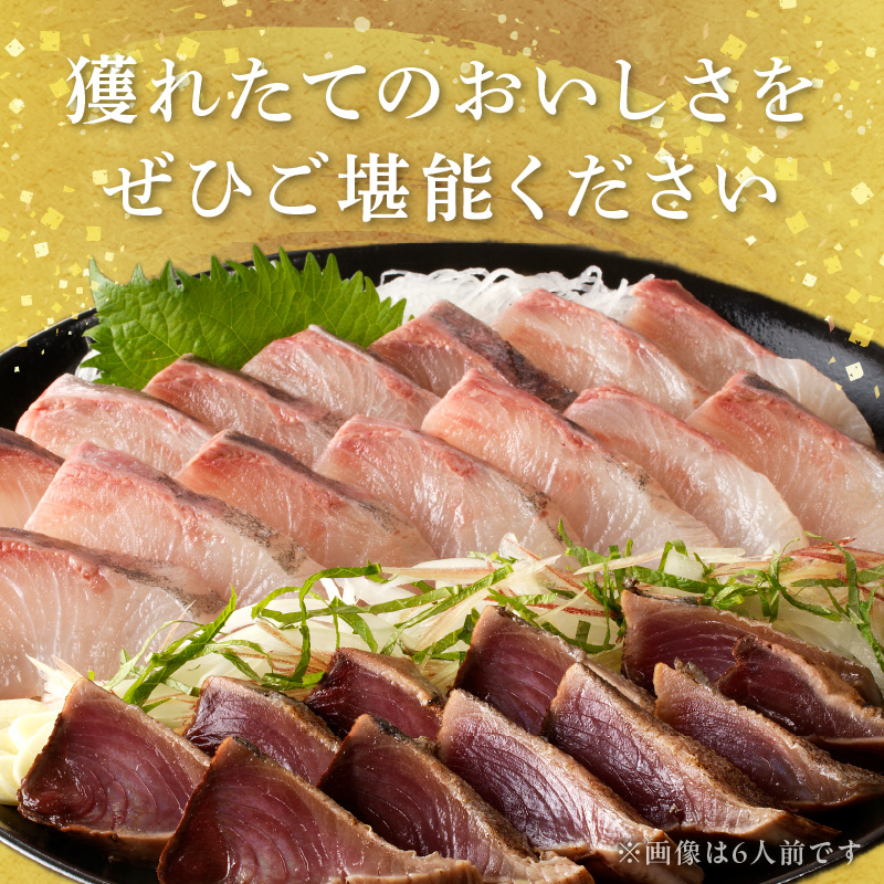 縲6繝カ譛亥ョ壽悄萓ソ縲大、ァ蜥後ョ鬮倡エ壹♀蛻コ霄ォ 4莠コ蜑阪仙キ蜃阪 N072-YE133-2