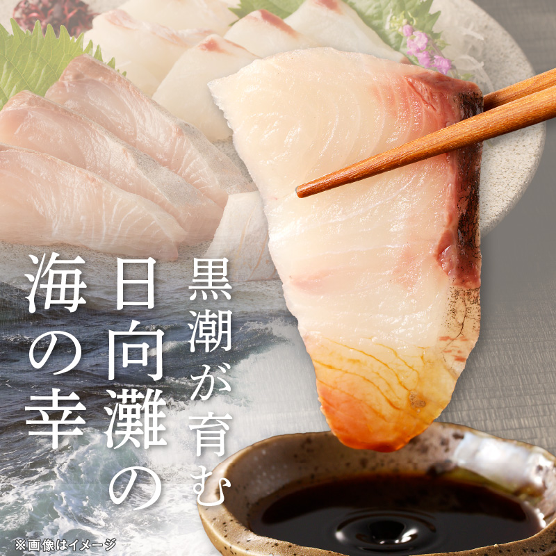 縲6繝カ譛亥ョ壽悄萓ソ縲大、ァ蜥後ョ鬮倡エ壹♀蛻コ霄ォ 4莠コ蜑阪仙キ蜃阪 N072-YE133-2