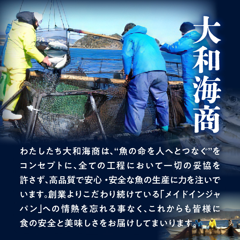 縲6繝カ譛亥ョ壽悄萓ソ縲大、ァ蜥後ョ鬮倡エ壹♀蛻コ霄ォ 4莠コ蜑阪仙キ蜃阪 N072-YE133-2