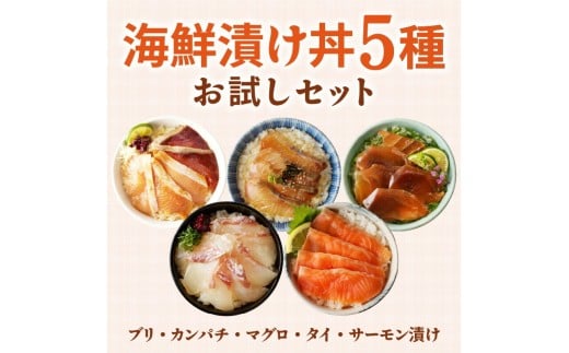 【冷凍】海鮮漬け丼5種お試しセット N019-YA192