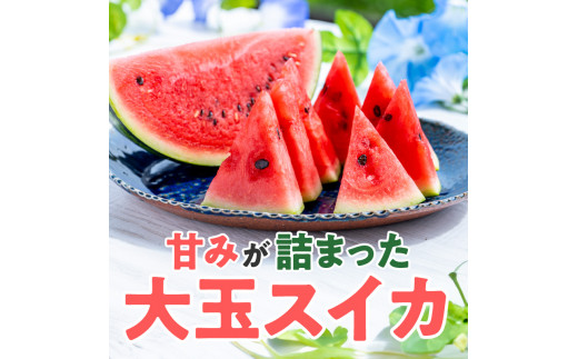 繧ケ繧、繧ォ1邇(邏7緕冗エ) N0195-YA2233