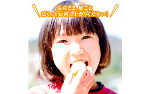 【訳あり】完熟きんかん2Lサイズ約400g×6袋(2026年2月中旬発送開始) N053-YZA548
