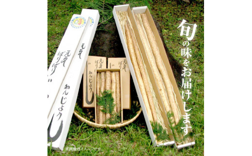 元気ばりばり　じねんじょう　自然薯　N020-YB354