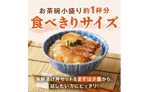 【冷凍】海鮮漬け丼5種お試しセット N019-YA192
