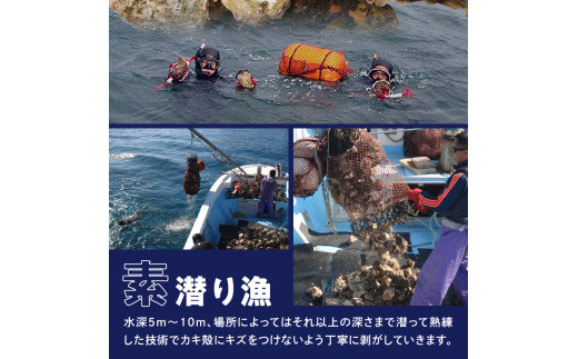 天然岩牡蠣お試しセット(大・中・小サイズ)各2個 N036-YA0382