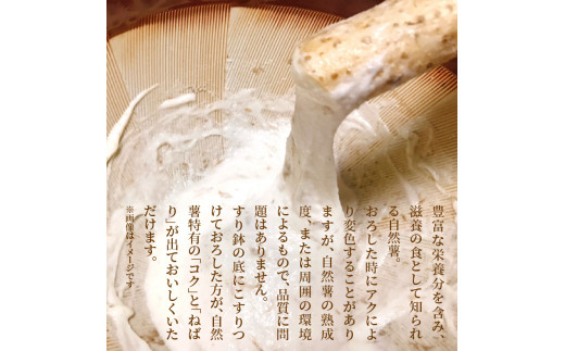 元気ばりばり　じねんじょう　自然薯　N020-YB354