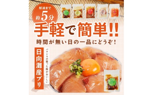 【冷凍】海鮮漬け丼5種お試しセット N019-YA192