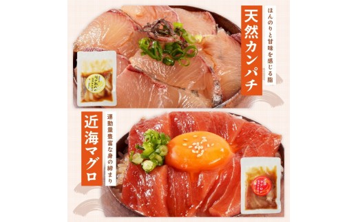 【冷凍】海鮮漬け丼5種お試しセット N019-YA192
