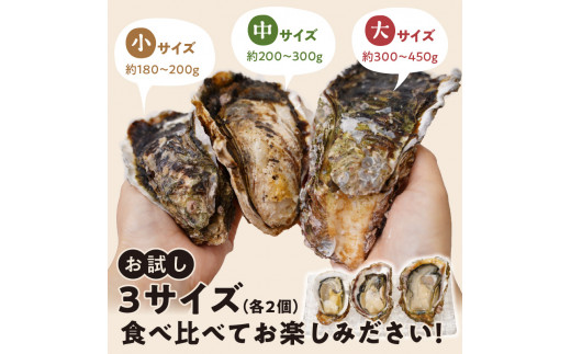 天然岩牡蠣お試しセット(大・中・小サイズ)各2個 N036-YA0382
