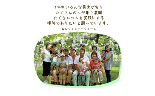 【訳あり】完熟きんかん2Lサイズ約400g×6袋(2026年2月中旬発送開始) N053-YZA548