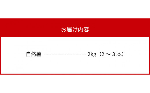 元気ばりばり　じねんじょう　自然薯　N020-YB354