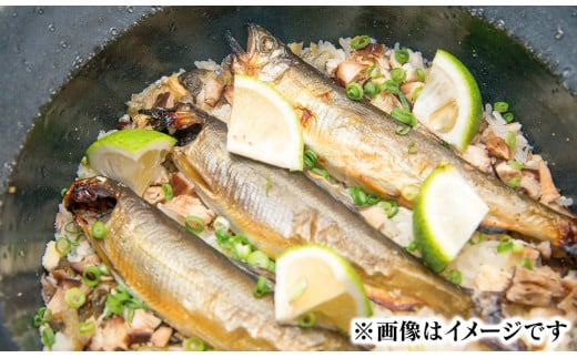 若鮎1㎏【冷凍】 N070-YA3369_2