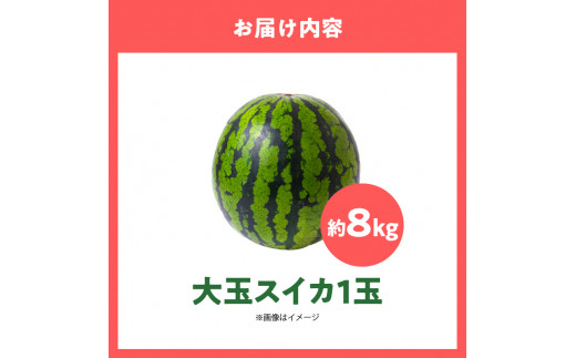スイカ1玉(約8kg級) N0195-YA3403