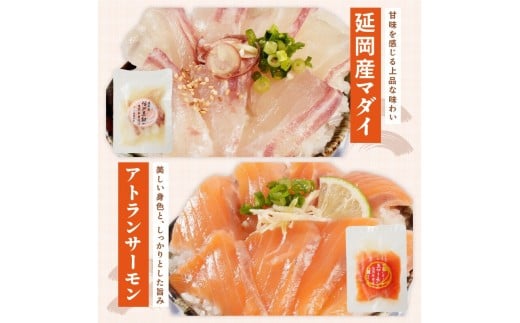 【冷凍】海鮮漬け丼5種お試しセット N019-YA192