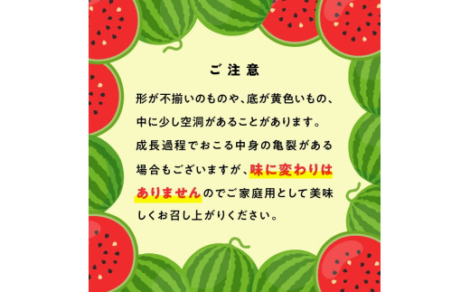 繧ケ繧、繧ォ1邇(邏7緕冗エ) N0195-YA2233