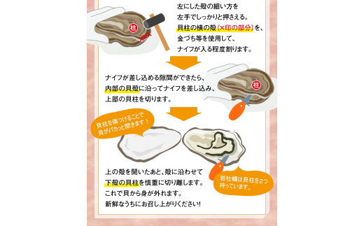 天然岩牡蠣お試しセット(大・中・小サイズ)各2個 N036-YA0382