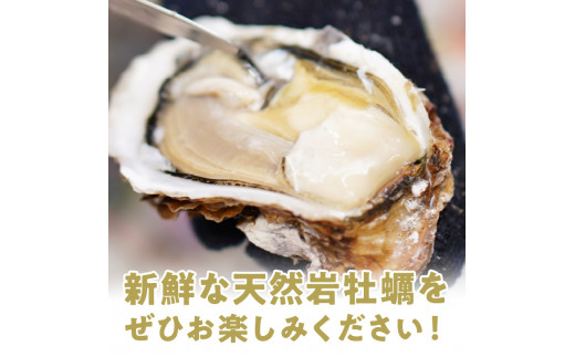 天然岩牡蠣お試しセット(大・中・小サイズ)各2個 N036-YA0382
