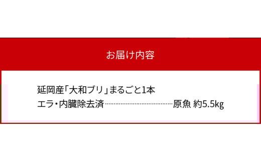【10月～2月発送!!】まるごと一本！大和ブリ内臓処理済み刺身ぶりしゃぶ煮物 N072-YC131