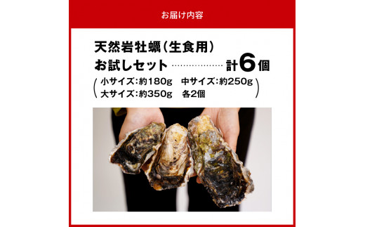 天然岩牡蠣お試しセット(大・中・小サイズ)各2個 N036-YA0382