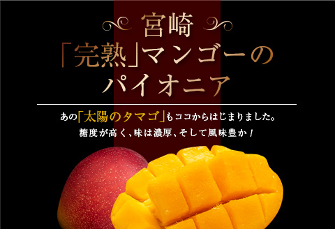 å
è¡äºçŽ æ°ééå® ååœ å®®åŽ å®çãã³ãŽãŒ 4L à 1ç AçŽå åç²§ç®±å
¥ã æééå® ãã«ãŒã ã¹ã€ãŒã æç© ãã ãã® ãã³ãŽãŒ é£å ãã¶ãŒã åœç£ ç£å°çŽé äººæ° ãªããŒã ãããã ãã〠é«çŽ ãè€çŸ èŽ
æ²¢ èŽãç© ã®ãã ãã¬ãŒã³ã æ¥ååž éæç¡æ_BD101-24